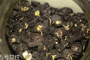 黑枸杞還還是紅枸杞好？各有千秋