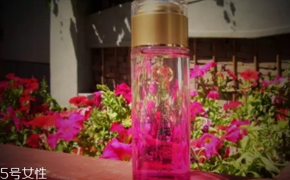 苦水玫瑰和平陰玫瑰哪個(gè)好？