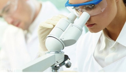 西芹籽能降尿酸嗎？