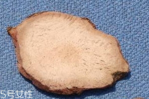 土茯苓可以泡水喝嗎 開水沖泡即可 土茯苓可以泡水喝嗎 開水沖泡即可