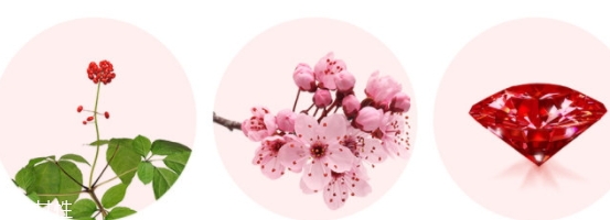 merbliss婚紗紅寶石面膜多少錢？