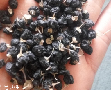 黑枸杞去濕氣嗎？沒有這個功效