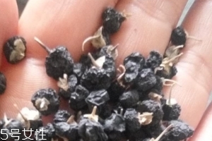 黑枸杞為什么是藍(lán)色？花青素的原因