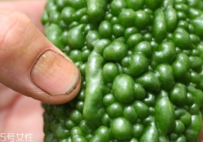 苦瓜怎么挑選 苦瓜的選購技巧 苦瓜怎么挑選 苦瓜的選購技巧