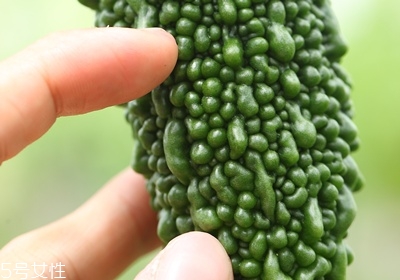 苦瓜怎么挑選 苦瓜的選購技巧 苦瓜怎么挑選 苦瓜的選購技巧