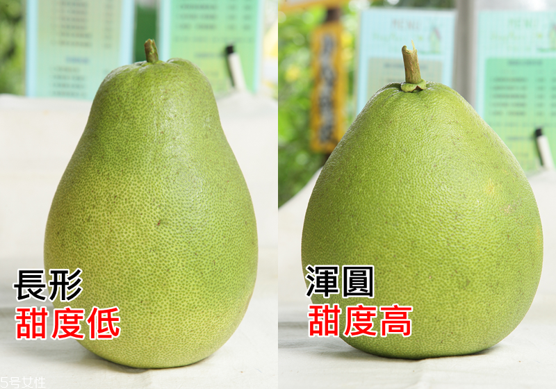 文旦柚怎么挑選 文旦柚選購技巧 文旦柚怎么挑選 文旦柚選購技巧