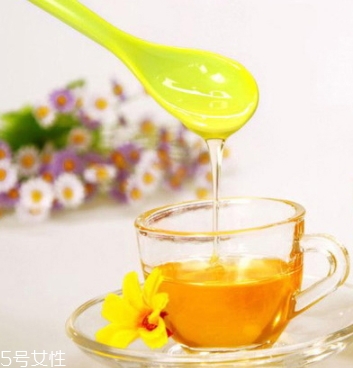 麥盧卡蜂蜜和普通蜂蜜有什么區(qū)別？貴得有理由