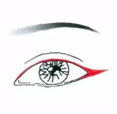 先畫(huà)眼影還是先畫(huà)眼線？先畫(huà)眼影不會(huì)讓眼線暈掉