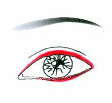 先畫(huà)眼影還是先畫(huà)眼線？先畫(huà)眼影不會(huì)讓眼線暈掉