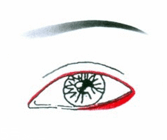 先畫(huà)眼影還是先畫(huà)眼線？先畫(huà)眼影不會(huì)讓眼線暈掉