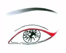 先畫(huà)眼影還是先畫(huà)眼線？先畫(huà)眼影不會(huì)讓眼線暈掉