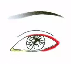 先畫(huà)眼影還是先畫(huà)眼線？先畫(huà)眼影不會(huì)讓眼線暈掉