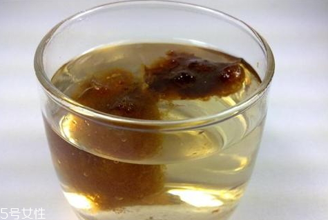 胖大?？梢院筒枞~一起泡嗎