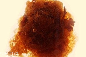 胖大?？梢院筒枞~一起泡嗎