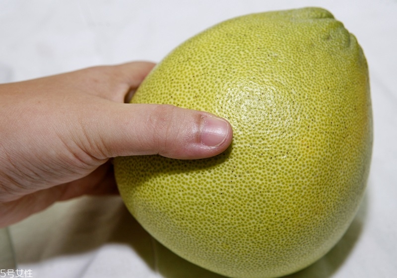 文旦柚怎么挑選 文旦柚選購技巧 文旦柚怎么挑選 文旦柚選購技巧