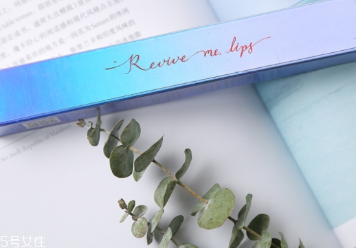 vivlas鋼筆口紅多少錢？