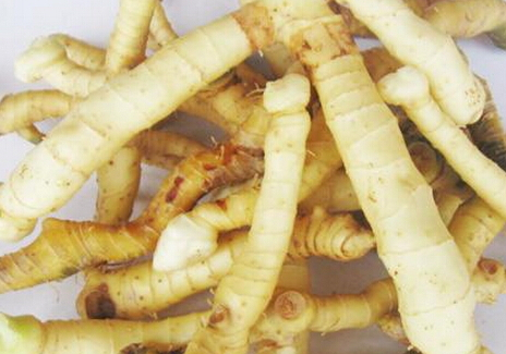 玉竹是熱性還是涼性 性平味甘 玉竹是熱性還是涼性 性平味甘