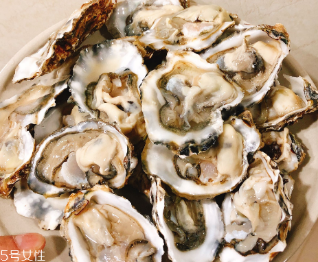 生蠔會胖嗎？不用擔心這個問題