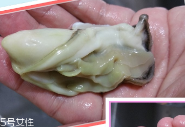 生蠔會有寄生蟲嗎？不生吃就沒關(guān)系