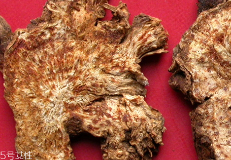 蒼術多少錢一斤 選購技巧