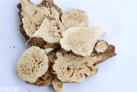 蒼術多少錢一斤 選購技巧