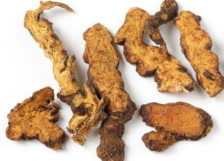 蒼術(shù)可以泡水嗎 燥濕健脾x效果好 蒼術(shù)可以泡水嗎 燥濕健脾x效果好