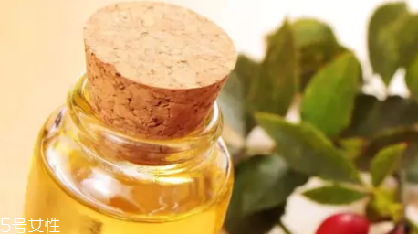 玫瑰果油和玫瑰精油怎么區(qū)分？玫瑰精油超級昂貴