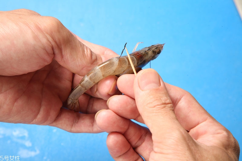 海鮮怎么保存才新鮮 買回家的海鮮怎么保存 海鮮怎么保存才新鮮 買回家的海鮮怎么保存