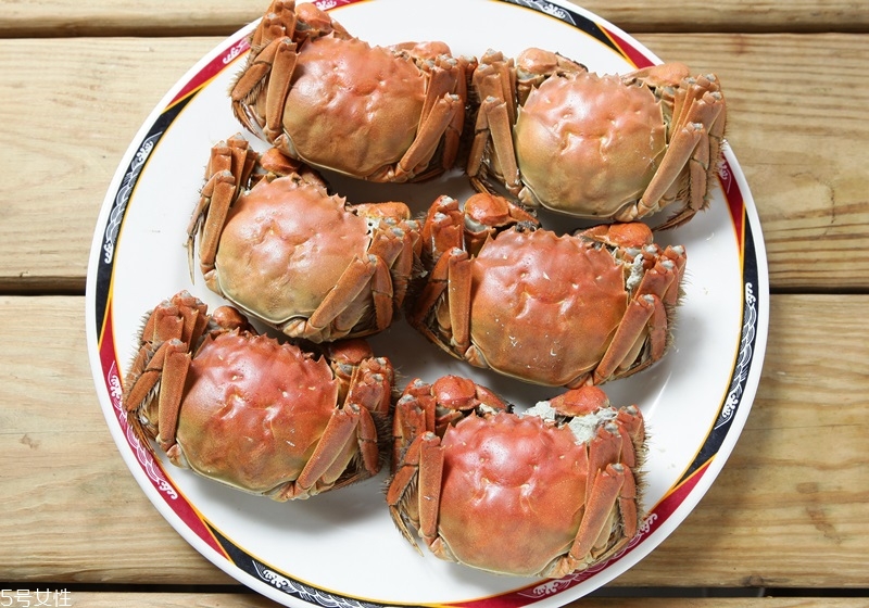 買大閘蟹怎么挑選 大閘蟹的挑選技巧 買大閘蟹怎么挑選 大閘蟹的挑選技巧