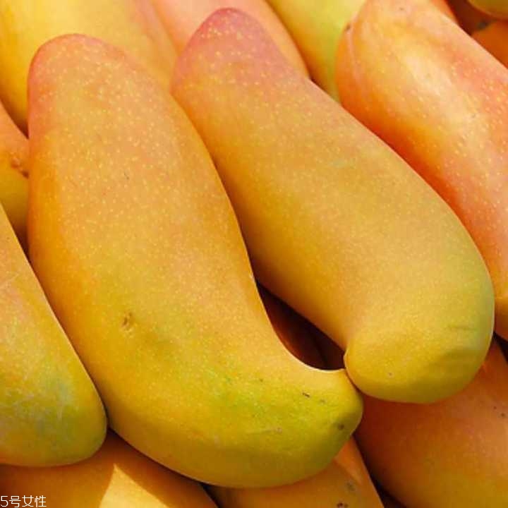 芒果的種類和品種介紹圖片 芒果的種類和品種介紹圖片
