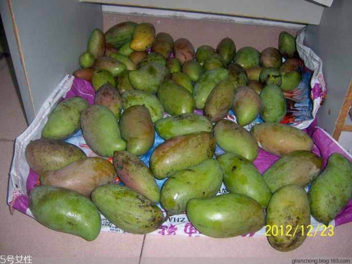 芒果的種類和品種介紹圖片 芒果的種類和品種介紹圖片