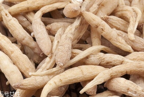 太子參什么時候吃好 飯后一個小時最好 太子參什么時候吃好 飯后一個小時最好