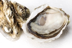 生蠔好消化嗎？腸胃不好的人少吃