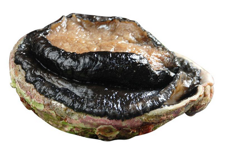 鮑魚罐頭怎么吃？這樣吃最好