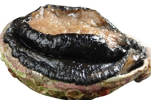 鮑魚罐頭怎么打開？像八寶粥一樣拉開