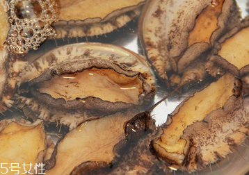 鮑魚罐頭怎么打開？像八寶粥一樣拉開