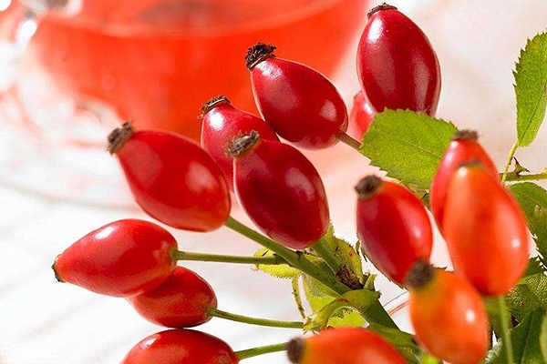 玫瑰果油有結(jié)晶是假貨嗎？純正玫瑰果油不會結(jié)晶