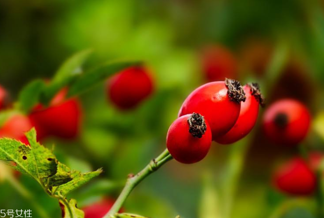 玫瑰果油有結(jié)晶是假貨嗎？純正玫瑰果油不會結(jié)晶