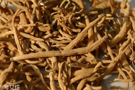 太子參什么季節(jié)吃 秋冬可以適當(dāng)食用 太子參什么季節(jié)吃 秋冬可以適當(dāng)食用