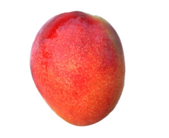 芒果的種類和品種介紹圖片 芒果的種類和品種介紹圖片