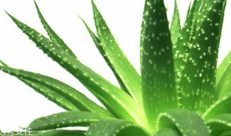 馥佩面膜怎么樣？性價(jià)比超高的國(guó)貨面膜