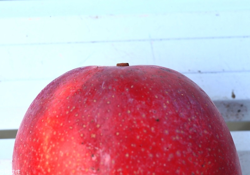 芒果怎么挑選與保存 芒果怎么挑選與保存