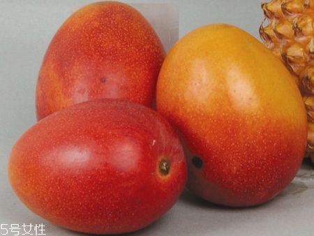 芒果的種類和品種介紹圖片 芒果的種類和品種介紹圖片