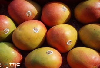 芒果的種類和品種介紹圖片 芒果的種類和品種介紹圖片