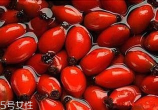 痘痘能用玫瑰果油嗎？愈合之后少量用