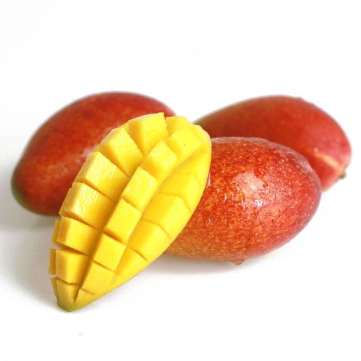 芒果的種類和品種介紹圖片 芒果的種類和品種介紹圖片