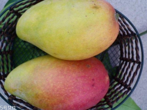 芒果的種類和品種介紹圖片 芒果的種類和品種介紹圖片