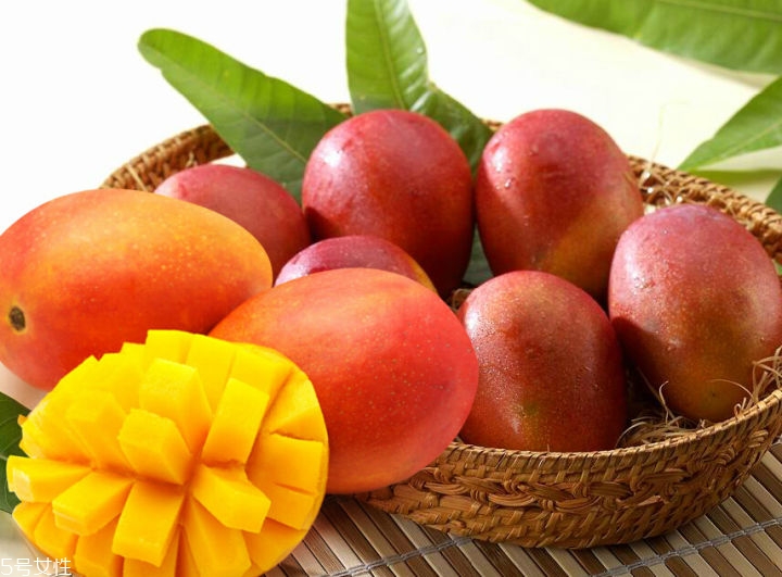 芒果的種類和品種介紹圖片 芒果的種類和品種介紹圖片