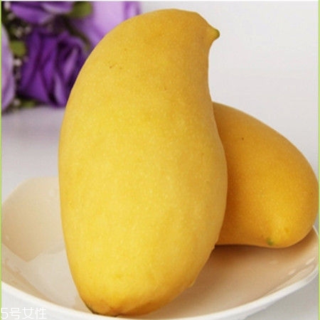 芒果的種類和品種介紹圖片 芒果的種類和品種介紹圖片