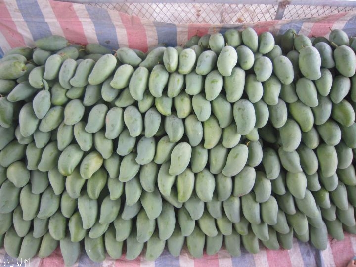 芒果的種類和品種介紹圖片 芒果的種類和品種介紹圖片